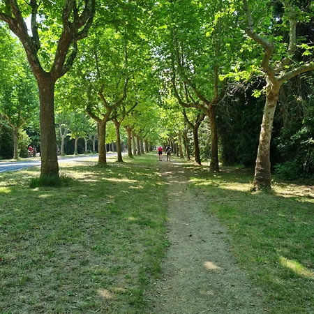 Magnifique Vue Pour Ce T2 Avec Piscine 圣西普里安